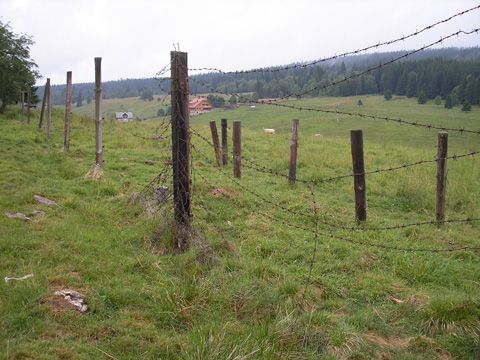 Foto 69